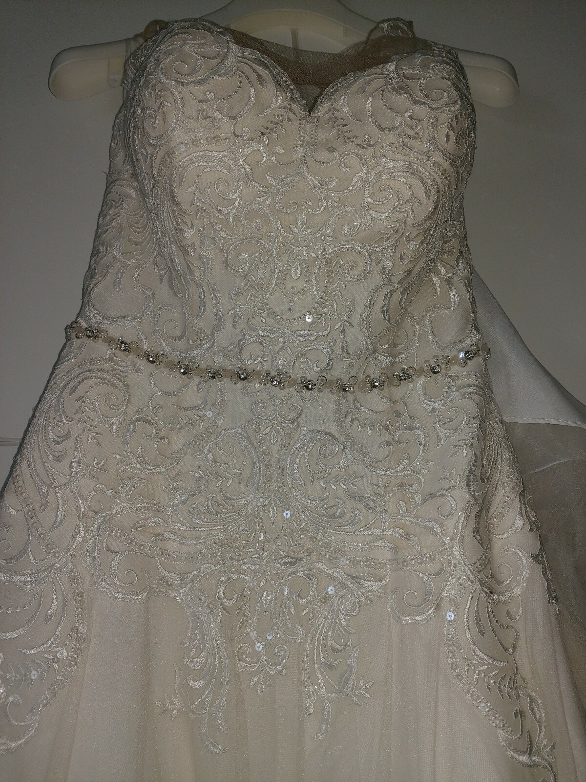 wedding dress with veil