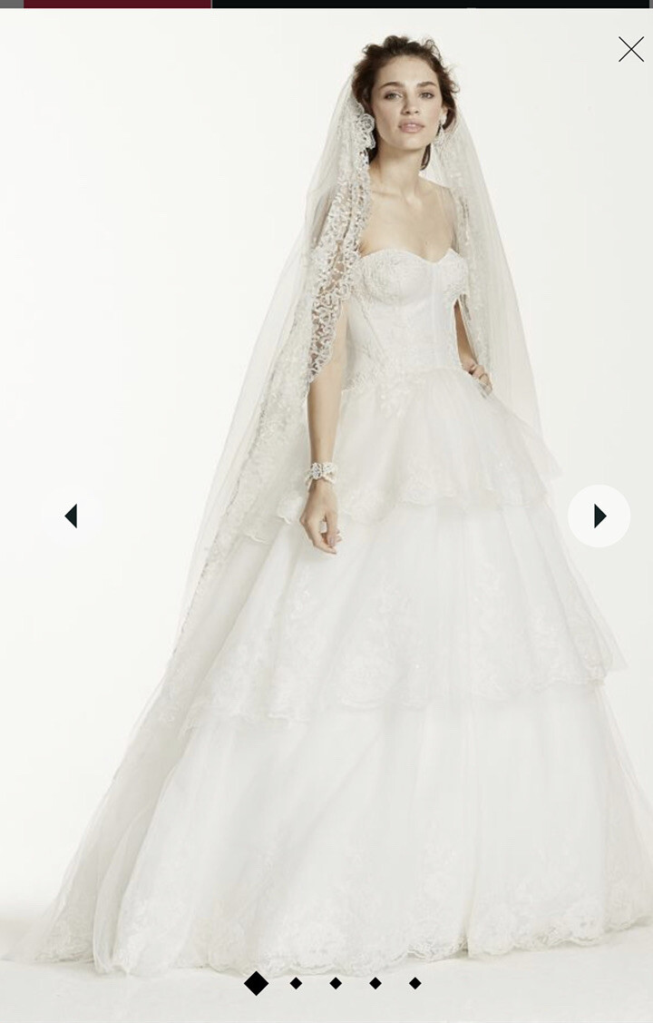 BNWT unaltered David’s Bridal Jewel Strapless tulle and organza wedding dress 6