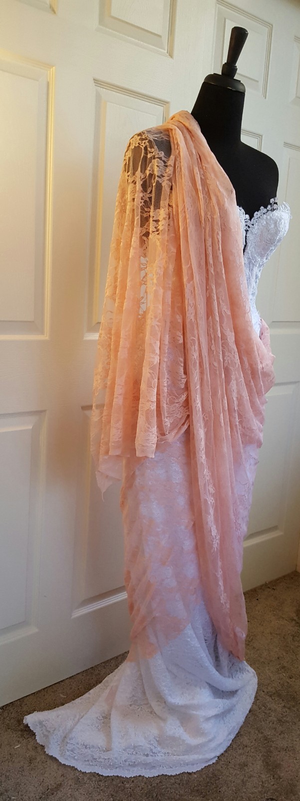 Blush Pink & White Corded Lace Sweetheart Corset Saree Sari Wedding Bridal Gown